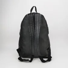 Authentic Bottega Veneta Backpack and 3