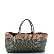 Bottega Veneta Cabat Iridescent Medium 2