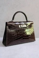 Hermès Kelly Sellier Mississippiensis Lisse PHW G Stamp 2