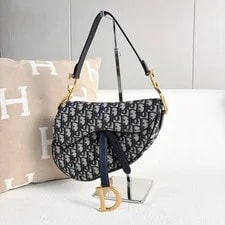 Dior Medium Embroidered Saddle （22×20×3） Cm 4