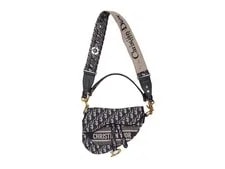 & Christian Dior Saddle 2