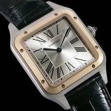 Cartier Santos-Dumont W2SA0011 Silver 2