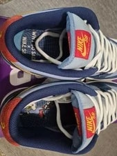 Nike SB Dunk Low Size 9.5 Why So Sad 4