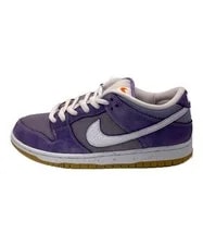 Nike SB Low Top DA9658-500 US10.5 2