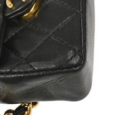 Chanel Classic Flap Pochette 179173 3