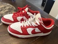 Nike SB Dunk Low Top Lace-Up Athletic 2