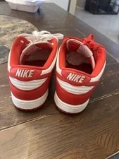 Nike SB Dunk Low Top Lace-Up Athletic 3