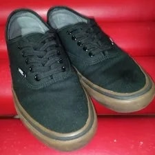 8.5US Discontinued Product Professional Standard Vans 4