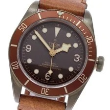 Tudor — Tudor Heritage Black Bay Bronze 79250BM Brown Dial Automatic Watch_973282 — Watch — resale
