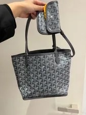 Goyard Anjou Underarm Auth 2