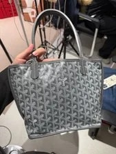 Goyard Anjou Underarm Auth 3
