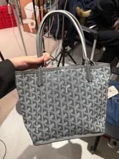Goyard Anjou Underarm Auth 4