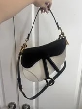 Dior Christian Saddle Latte and Supple 2