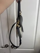 Dior Christian Saddle Latte and Supple 3