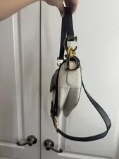 Dior Christian Saddle Latte and Supple 4