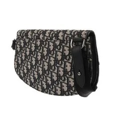 Dior Saddle 1ADP0044YKY_H27E /SilverMetal Body 2