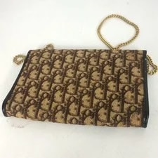 Christian Dior Trotter Chain Saddle Auth 2