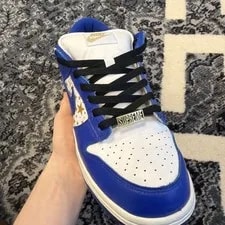 9.5M - Supreme SB Low Top Dunk 2