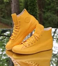 Converse Chuck Taylor All Star Hi Wild ’S Size 10 Custom 144747C 2