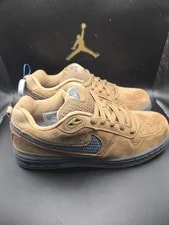 Nike SB Zoom Paul Rodriguez 1 (P-Rod 1) - No Separation - Cracking 2