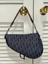Christian Dior Bag With Accents 2