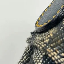 Christian Dior Saddle Trotter Pattern One 2