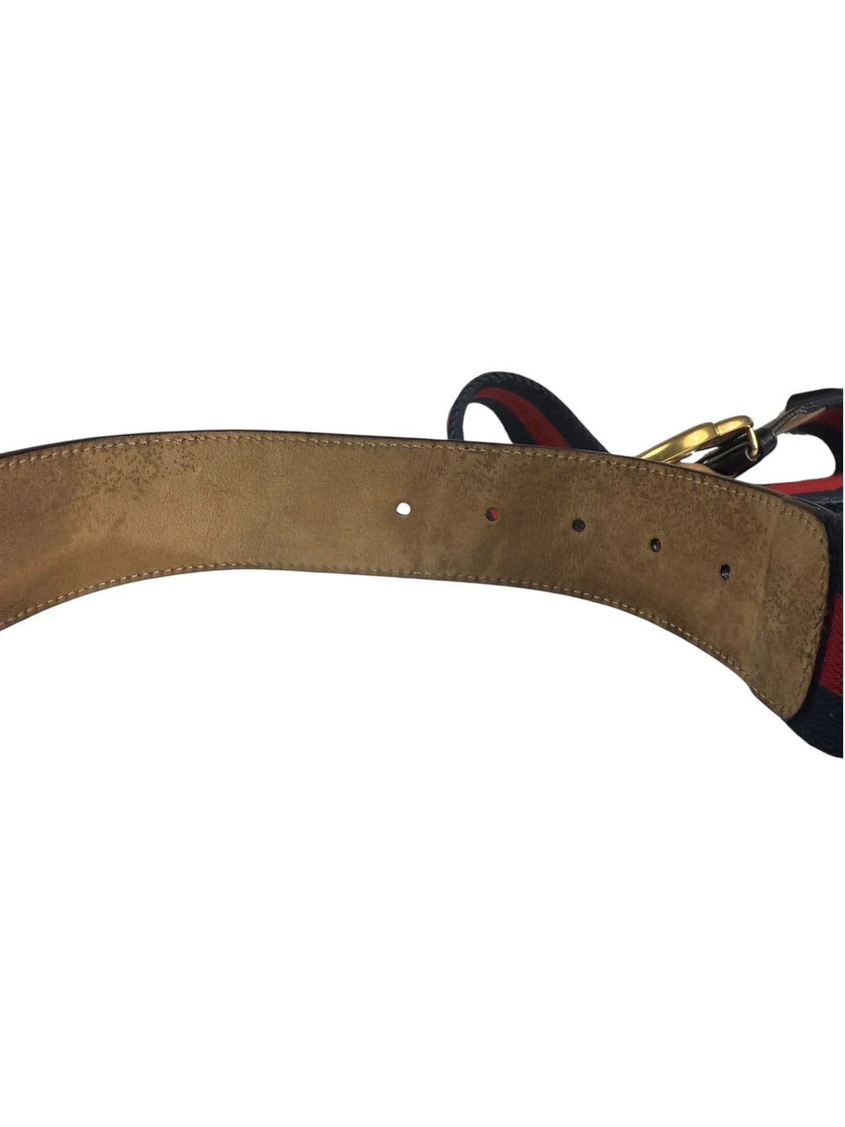 Gucci Trim Web Stripe Elastic Belt 4