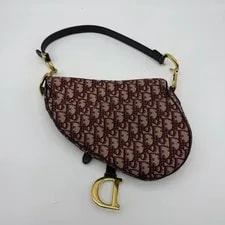Dior Saddle Top Handle 2