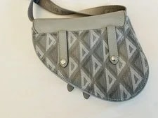 $3200 Christian Dior CD Mini Saddle 4