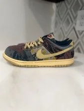 Nike SB Dunk Low Paul CZ7974-900 ’s Size 10.5 No Box 3