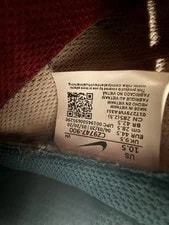 Nike SB Dunk Low Paul CZ7974-900 ’s Size 10.5 No Box 4