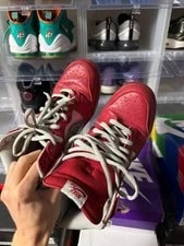 Size 9.5 Preowned (NB) Nike SB Dunk High Mork & Mindy 3