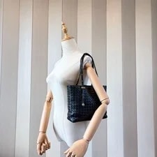Bottega Veneta Italy #3436 2