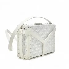 Goyard Minaudière Trunk Crossbody 4