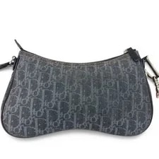 Dior Flight Line Trotter Saddle 2