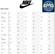 Nike SB Force 58 CZ2959 402 Noble Skateboarding Shoes 2