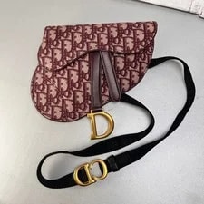 Dior — Dior Bag: Saddle Belt W19*H16.5cm W/o Accessories; — Handbag — resale