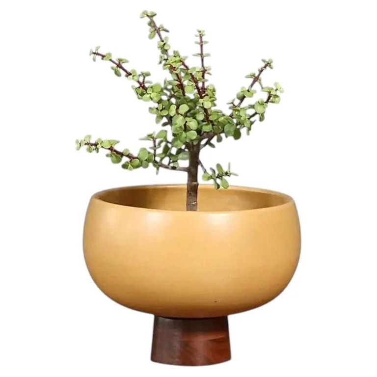 Architectural Pottery, John Follis — Expertly Restored-John Follis "Floating Pottery" Model-FB Mustard Glazed Planter — Furniture — resale