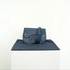 Christian Dior Grained Saddle W/ Dust 2