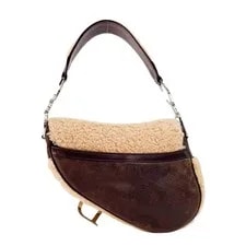 Dior Limited Edition Saddle 2