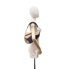 Dior Limited Edition Saddle 3