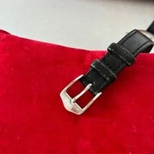 Omega de Ville Roman Dial Overhauled Working 4