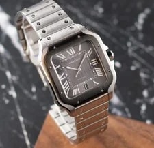 Cartier Santos Large Adlc Gray Automatic Extra Strap WSSA0037 4