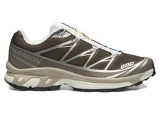Size 11 Salomon XT-6 Earth L49209900 2