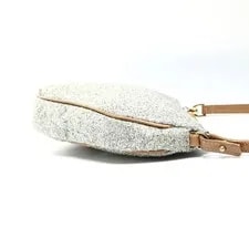 Dior Saddle Glitter From Japan 4