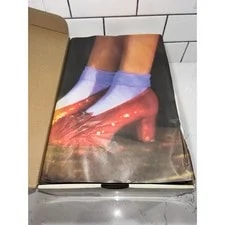 Nike SB Dunk Low Wizard of Oz Size 10.5 - Unopened 3