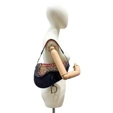 Dior Limited Edition Saddle Embellished 3