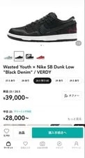 10.5US Wasted Nike Sb Dunk Low 2