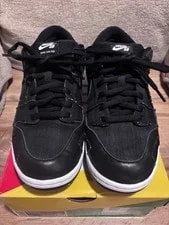 10.5US Wasted Nike Sb Dunk Low 3