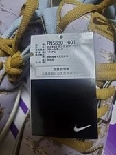 10.0US Nike Sb Dunk Low Pro Prm Fn5880-001 3